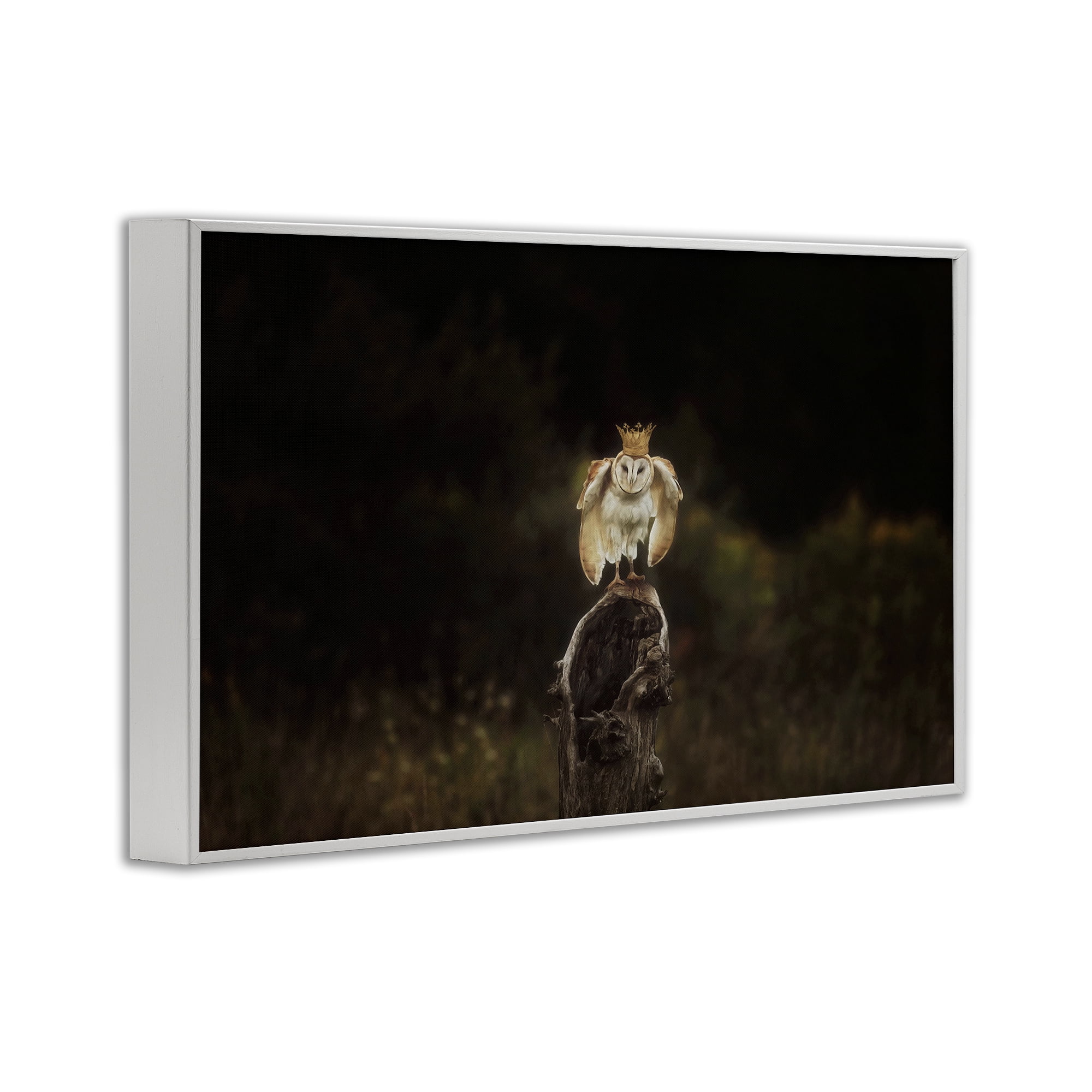 Stupell Industries Crowned Owl Perched Animals & Insects Photography White Framed Art Print Wall Art, 18 x 12