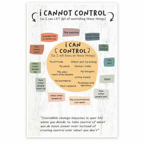 Bliss Monkey Co. Things I Can Control Poster - Therapy Therapist Office Counselor - Self Healing Positive Wall Art - 12 x 18 Inch Poster - Unframed - Premium 100lb Gloss - Made In USA - BMCP080