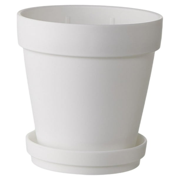 Maceta con platillo para cactus, maceta de interior resistente para plantas suculentas Blanco