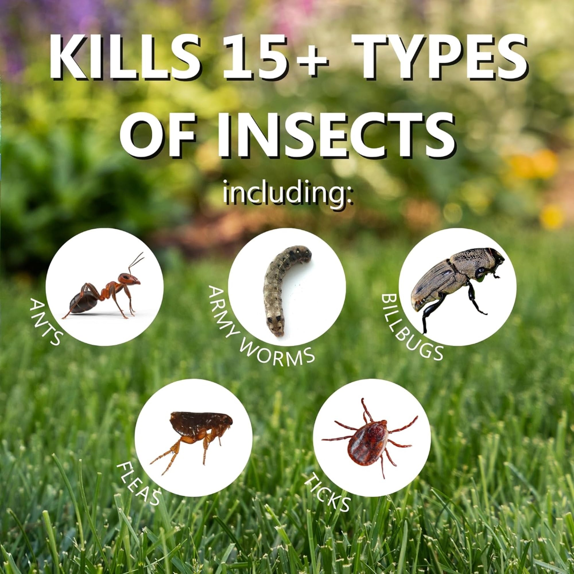 Jonathan Green (12015) Summer Survival Insect Control with Lawn Fertilizer - 13-0-3 Grass Fertilizer (15,000 Sq. Ft.)