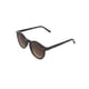 thumbnail image 1 of LENTES DE SOL TOMMY HILFIGER EYEWEAR 66397582 MARRóN, 1 of 4