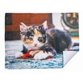 thumbnail image 1 of Microfibre Drying Mat (Kitten Playing Toy) - Set of 2, 1 of 1