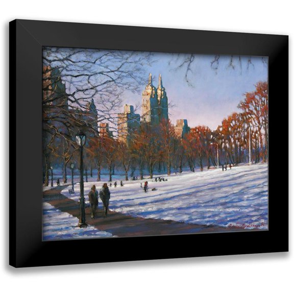 Braithwaite, Bruce 14x12 Black Modern Framed Museum Art Print Titled - Winter Sunset in Central Park