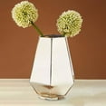 thumbnail image 1 of Florero de vidrio Colco Estilo Europeo Decorativo 21cmx15cmx10cm, 1 of 8