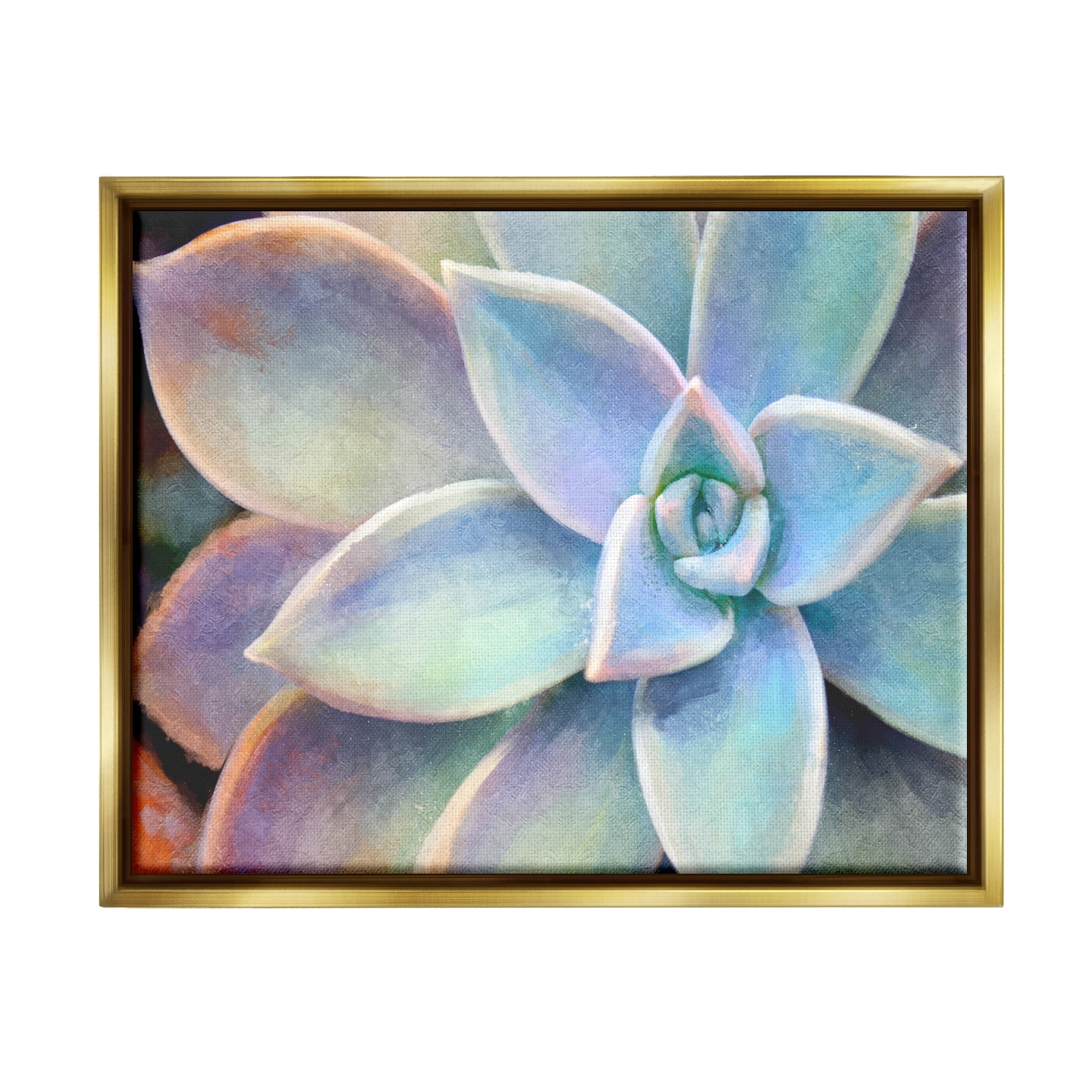Stupell Industries Succulent Plant Vibrant Bloom Painting Metallic Gold Framed Floating Canvas Wall Art, 16x20, by Joshua Chace