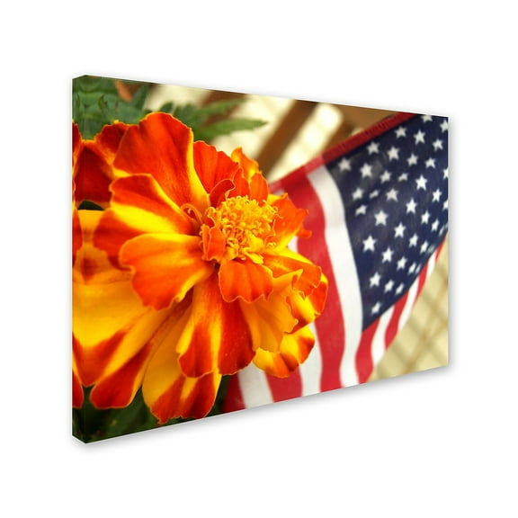 Trademark Fine Art "Grace in Honor" Canvas Art by Monica Fleet