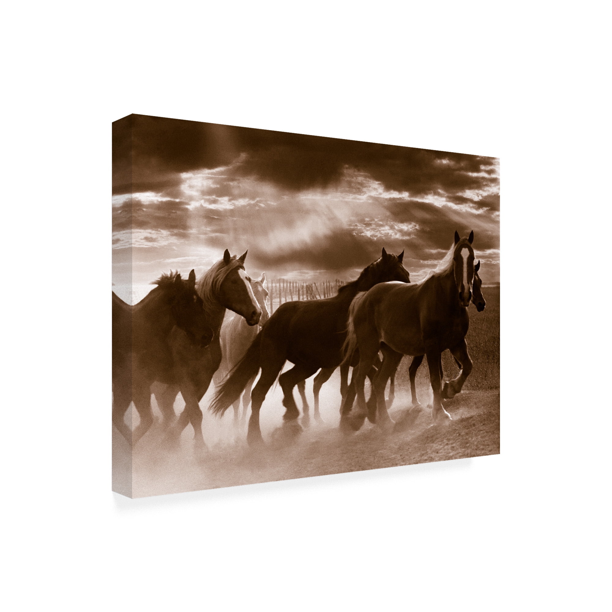 Trademark Fine Art 'Running Horses And Sunbeams Rothbury Michigan' Canvas Art by Monte Nagler
