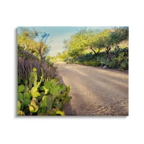 Stupell Industries Roadside Greenery Botanicals Arid Desert Cactus Plants Photograph Gallery Wrapped Canvas Print Wall Art, Design by Bill Carson Photography