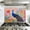 Color 4, variant on Kitchen Backsplash Peel and Stick Wall Murals Bright Colorful Boho Botanicals Gold Modern Removable Mural 35.4"W x 23.6"H, Oil Proof Vinyl Wallpaper for Fireplace & Behind Stove