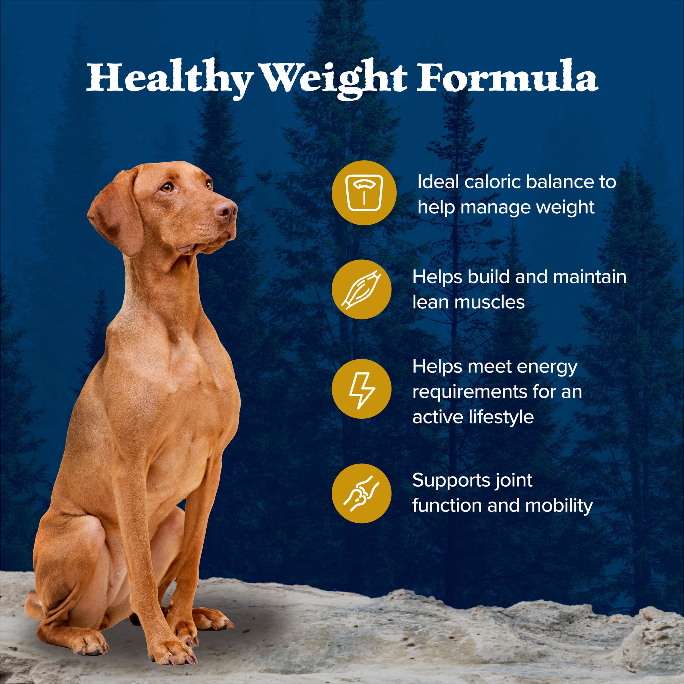 Blue Buffalo Wilderness High-Protein Healthy Weight Adult Dry Dog Food, Chicken, 28-lb.