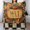 FlannelCDFall sign checkered pattern scene 30"x40" 1, variant on GXFCflowers, sky, bird design, winter sofa dormitory home decoration, must-have travel product. Size is 50x60 inches.