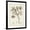 Black Frame, variant on Art.com Antique Sepia Botanicals I Art Print by 0 Unknown, 12" x 16"