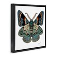 thumbnail image 3 of Stupell Industries Contemporary Symbol Of Change Moth Black Floating Frame Canvas Art, 18 x 18, by Lena Owens, 3 of 8