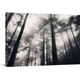 thumbnail image 1 of Great BIG Canvas | "Trees and Fog in the Yellow Mountains, Huangshan, China" Canvas Wall Art - 36x24, 1 of 2