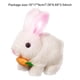 thumbnail image 3 of Simulación Conejo Eléctrico Juguete para Mascota Lindo Peluche Zanahoria () Blanco, 3 of 3