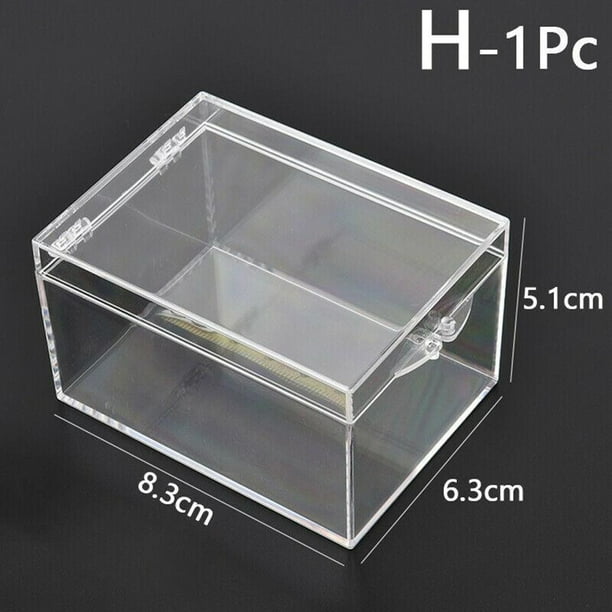 Clear Plastic Box Rectangular Insect Specimen Display Desktop Storage
