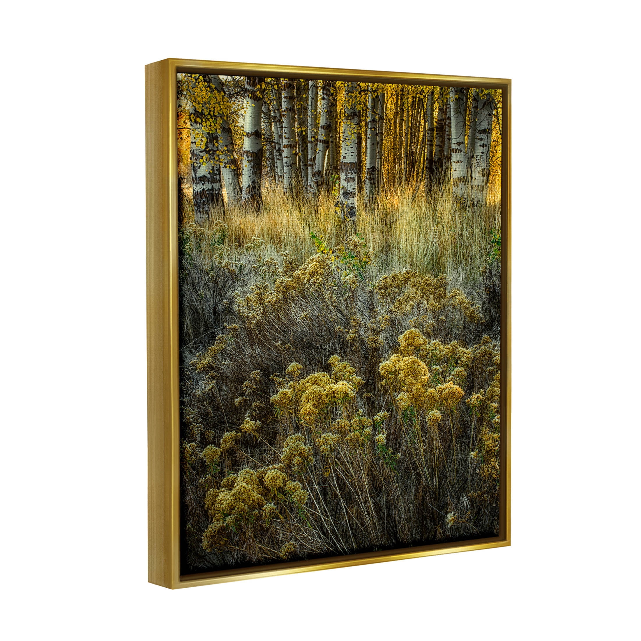 Stupell Industries Woodland Wildlife Plants Yellow Blossoms Photograph Metallic Gold Floating Framed Canvas Print Wall Art, Design by David Lorenz