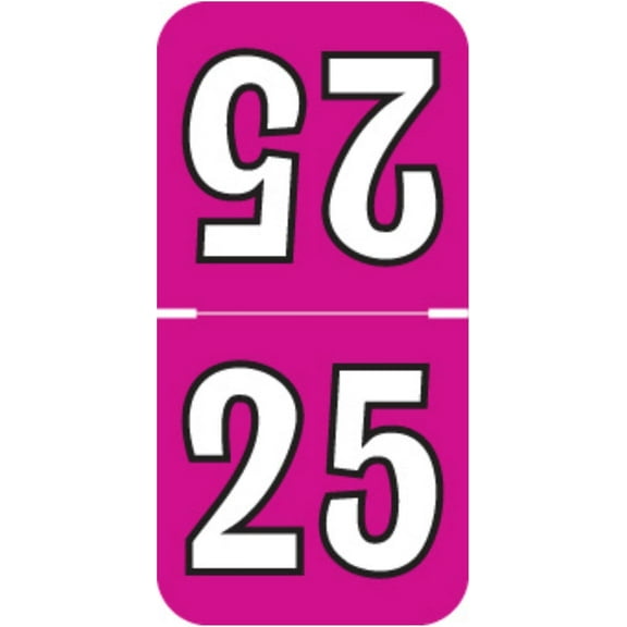 2025 Year Stickers,  2025 Chart Stickers, Fuchsia/Black Color Coded, 1-1/2" high x 3/4" Wide Colwell Jewel , Made Year Labels for Top Tab File Folders, 500/Roll, 1 Roll
