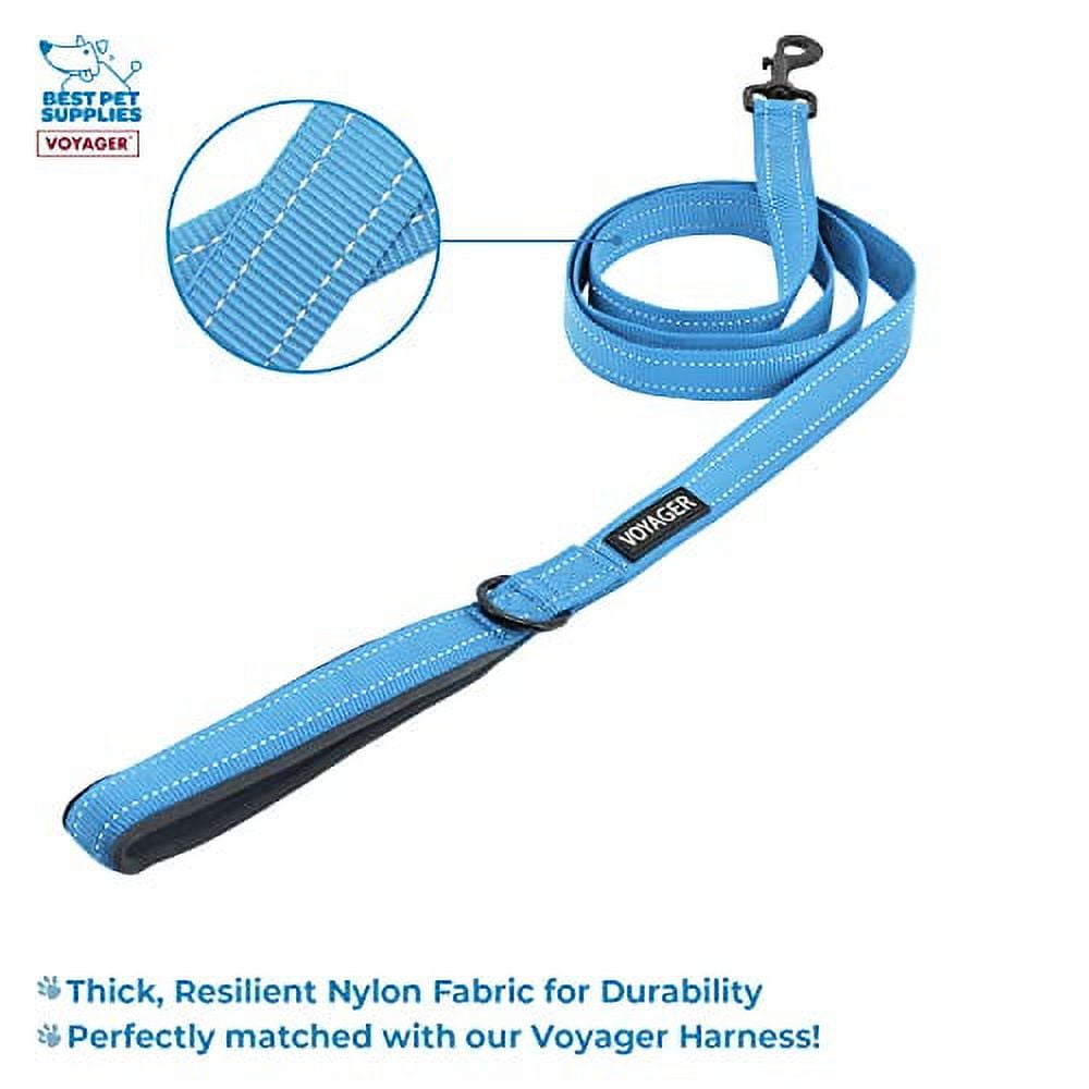 Best Pet Supplies Voyager Adjustable Dog Harness Leash Set with Reflective Stripes for Walking Heavy-Duty Full Body No Pull Vest with Leash D-Ring, Breathable All-Weather - Harness (Baby Blue), L