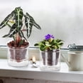 thumbnail image 4 of Maceta de Riego Automático 4 Pulgadas, para Violeta Africana, Jardinera Vidrio con Inferior Plantas Interior y Propagación., 4 of 5