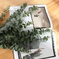 Ludlz 5Pcs/Set Green Artificial Eucalyptus Leaf Plant Vine Garden Balcony Home Decor - Walmart.com