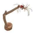 thumbnail image 1 of Bird Cage Accessory,Bird Play Ground Wooden Bird Table Perch Bird Play Ground Eco-Friendly Materials, 1 of 12