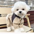 thumbnail image 3 of FOCUSNORM Cute Dog Windbreaker Jacket Breathable Hooded Button-up Pet Clothes for Small Dog, 3 of 8