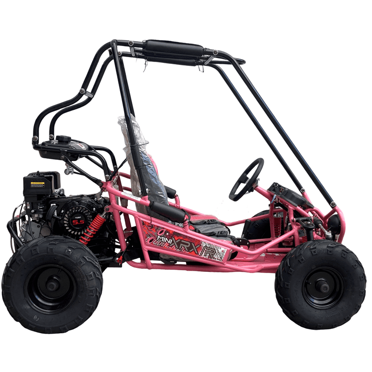 Trailmaster Mini XRX/R+ Go Kart with Reverse Top of The line. Age