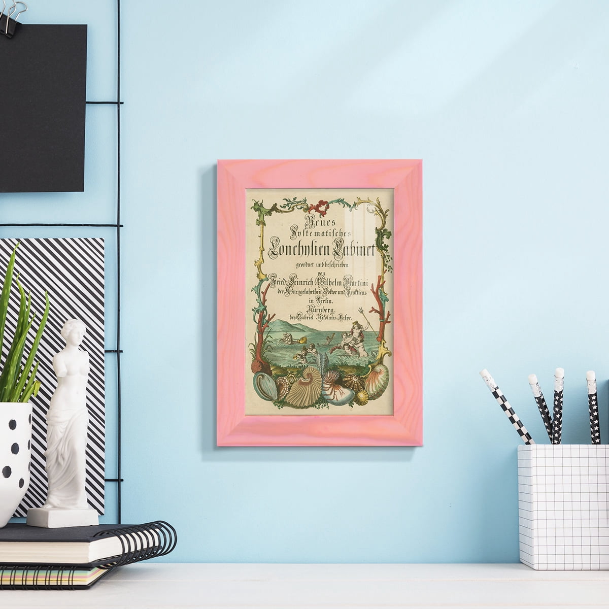 Cabinet of Conchology -Framed Print w/glass-Sunset Pink