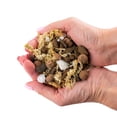 thumbnail image 5 of Premium Phalaenopsis Imperial Orchid Potting Mix - Hand Mixed in Small Batches | Great for Phalaenopsis of All Kinds - by Gardenera Labs - 2 Quart Bag, 5 of 6