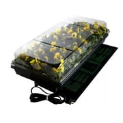 Jump Start CK64050 Germination Station with Heat Mat, Tray, Cell Insert & Dome