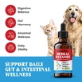 thumbnail image 2 of Herbal Cleanse for Dogs & Cats – Natural Intestinal Defense with Wormwood & Black Walnut – Herbal Gut Cleanse Liquid for Digestive Wellness & Gut Balance – Advanced Broad Spectrum Formula – 2 oz, 2 of 8