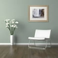 thumbnail image 3 of Trademark Fine Art "X Marks the Spot" Canvas Art by Michael Blanchette Photography White Matte, Birch Frame, 3 of 4