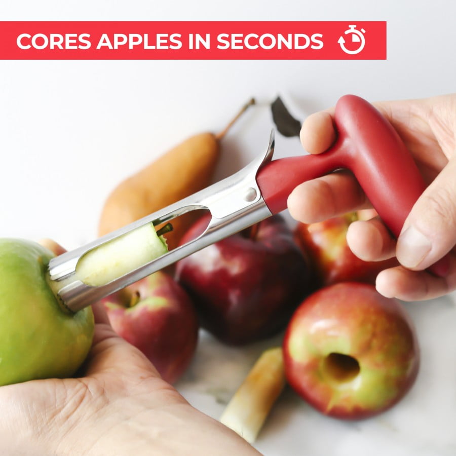 Very Usefu ORBLUE Apple Corer RemoverBest Stainless Steel Fruit Corer Small 