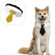 thumbnail image 4 of Collar de esmoquin para perro y gato, pajarita de boda para gato, cumpleaños de cachorro, Pascua, San Valentín, pajarita para collar de esmoquin, 4 of 5