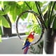 thumbnail image 3 of Bird Toys-Anillo Algodón y Lino Pequeño Ormromra HMHZ932-1, 3 of 6