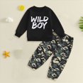 thumbnail image 2 of TOWED22 Toddler Baby Boys Clothes Print Graphic Long Sleeve Sweatshirt Top Casual Pants Set 2Pcs Fall Winter Outfits, 2 of 4