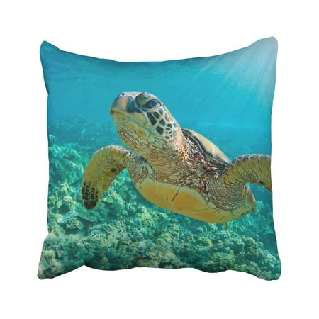WOPOP Green Maui Sea Turtle Close Up Over Coral Reef In Hawaii Snorkel Swim Underwater Dive Life Pillowcase 18x18