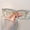 Champagne, variant on Women Cat Eye Reading Glasses Crystal Decor +1.0 to +3.5 Fashion Readers