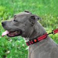 thumbnail image 5 of Reflective Dog Collar 8 Colors Soft Neoprene Padded Breathable Nylon Pet Collar Adjustable for Small Medium Large Dogs, 5 of 5