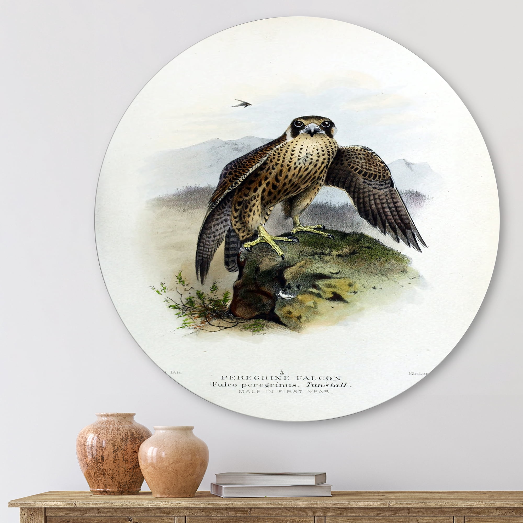 Designart 'Ancient Bird Life VIII' Traditional Circle Metal Wall Art 11x11 - Disc of 11