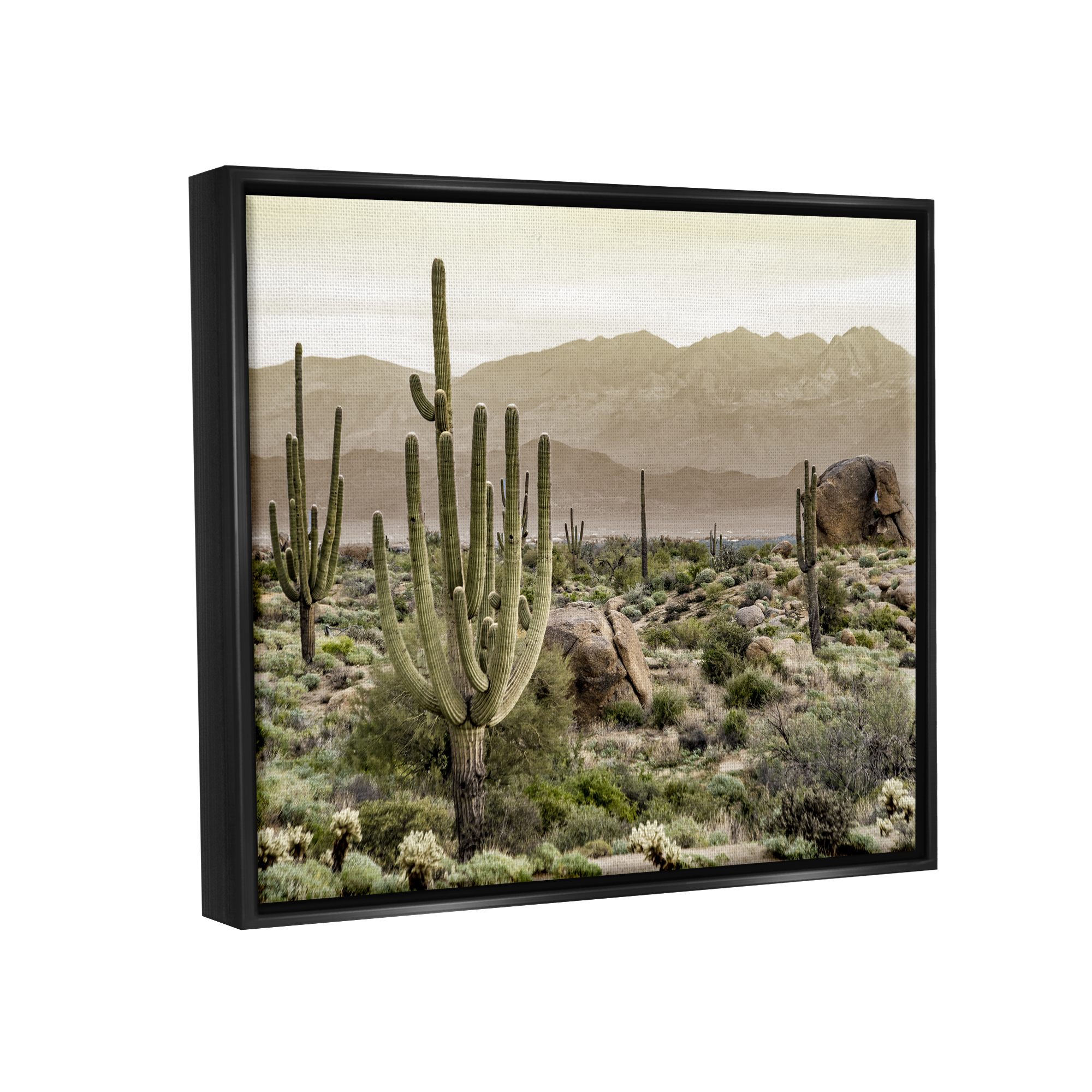Stupell Industries Rocky Desert Landscape Landscape Photography Black Floater Framed Canvas Art Print Wall Art, 31 x 25