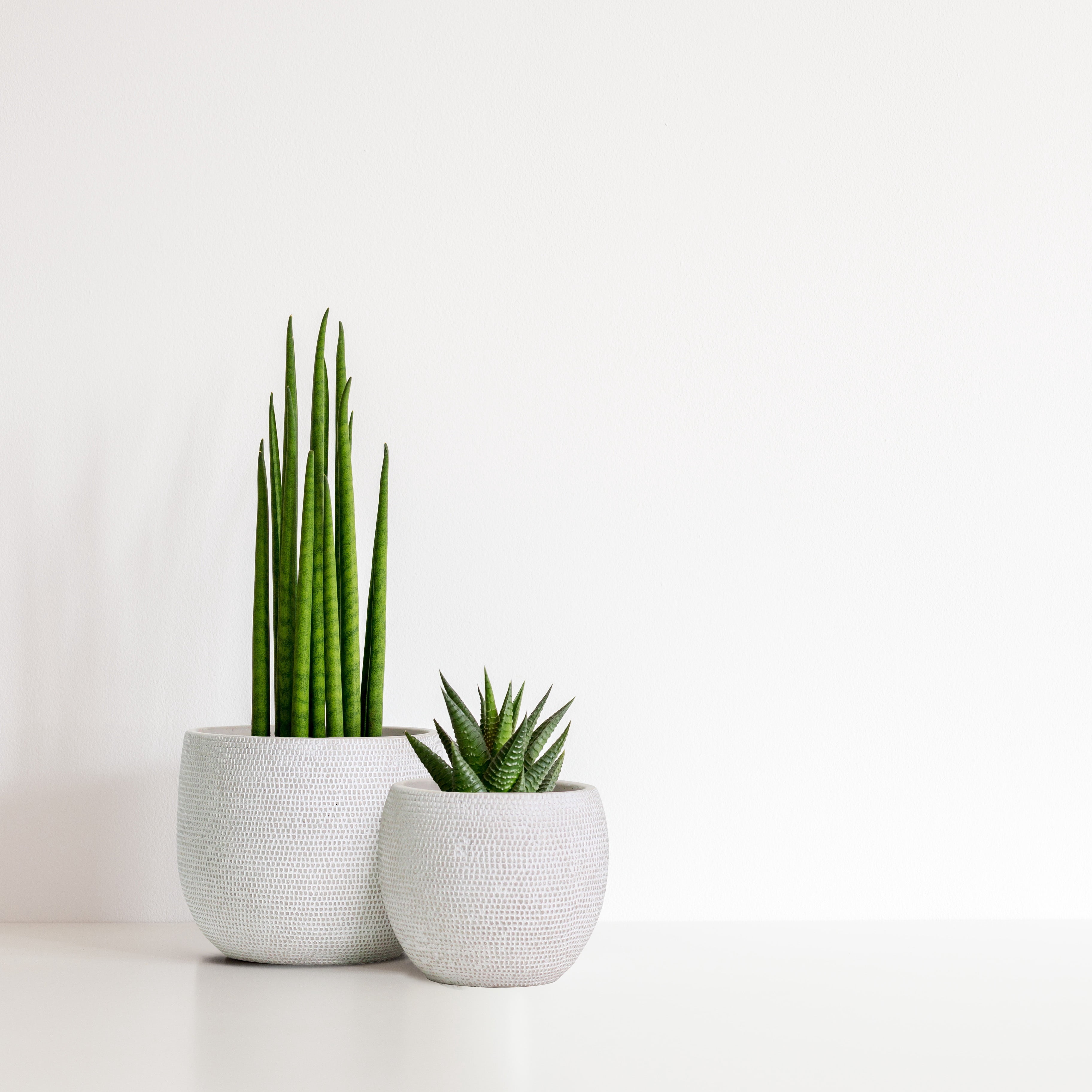 Olly & Rose Barcelona Ceramic Plant Pot Set 2 - Indoor & Outdoor Planters for Indoors and Outdoor Flower Pots (White)
