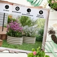 thumbnail image 6 of Outsunny Galvanized Raised Garden Bed, Set of 2 Planter Box with Safety Edging, Easy-to-assemble, Cream, 6 of 9