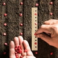 thumbnail image 4 of Seeding Spacing Ruler Wooden with Holes Accurate Garden Template Dibber for Vegetable Gardens Seedling Spacing Depth, 4 of 8