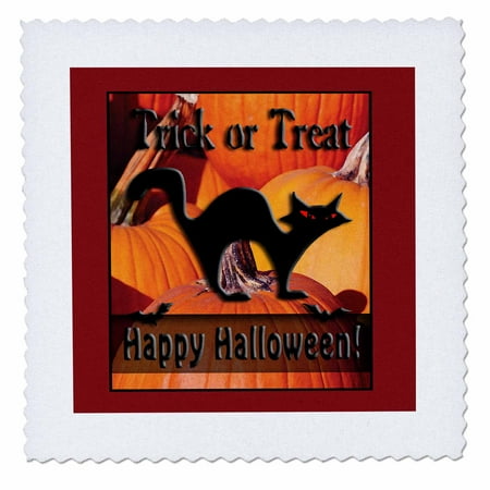 10 Inch Pumpkin - 3dRose Black Cat on Pumpkins Trick or Treat Happy Halloween - Quilt Square, 10 by 10-inch