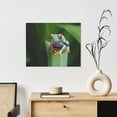 thumbnail image 6 of Gukieu Red-Eyed Tree Frog Print Canvas Decorative Hanging Painting, Waterproof Art Wall Decoration with Frame, Suitable for Living Room, Bedroom, 6 of 6