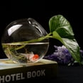 thumbnail image 3 of Dewadbow Clear Round Glass Flower Hanging Vase Ball Planter Terrarium Bottle, 3 of 6
