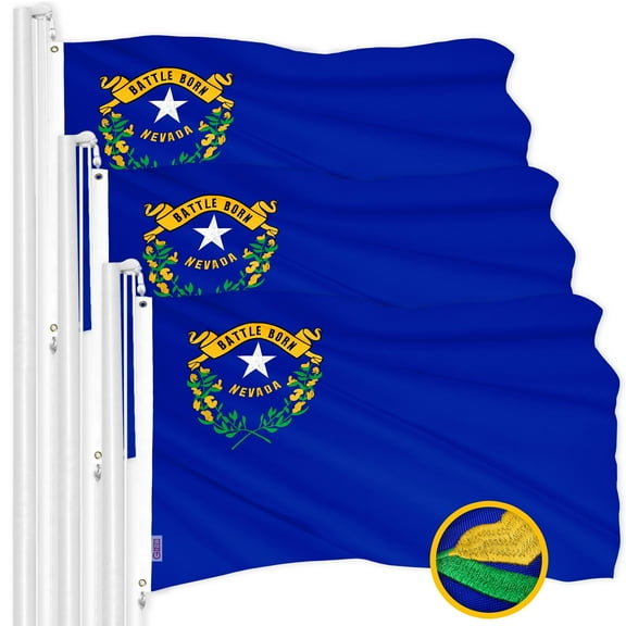 G128 3 Pack: Nevada NV State Flag | 3x5 Ft | ToughWeave Series Embroidered 300D Polyester | Embroidered Design, Indoor/Outdoor, Brass Grommets