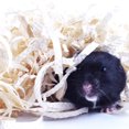 thumbnail image 2 of Small Pet Bedding Cozy Natural Clean Hamster Nesting Pet Supply for Guinea, 2 of 10